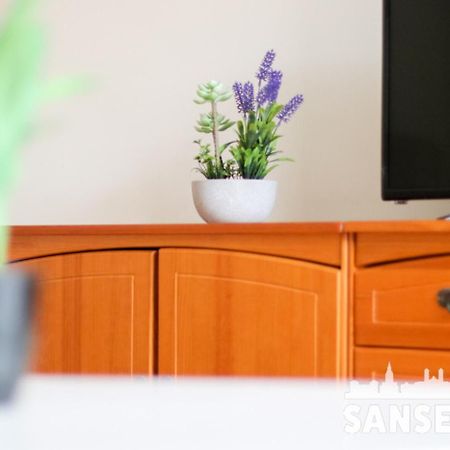 Apartamento Colon By Sanse Holidays ซานเซบาสเตียน ภายนอก รูปภาพ