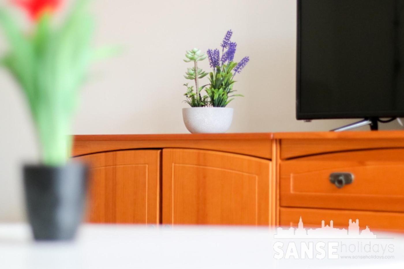 Apartamento Colon By Sanse Holidays ซานเซบาสเตียน ภายนอก รูปภาพ